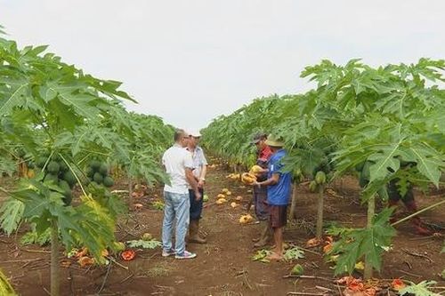 Gia tăng niềm tin từ hợp đồng liên kết