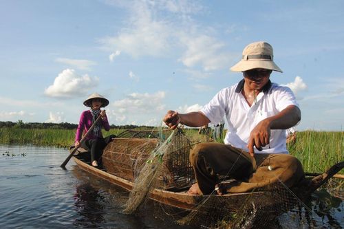 Đồng Tháp: Phát triển mô hình du lịch mùa nước nổi