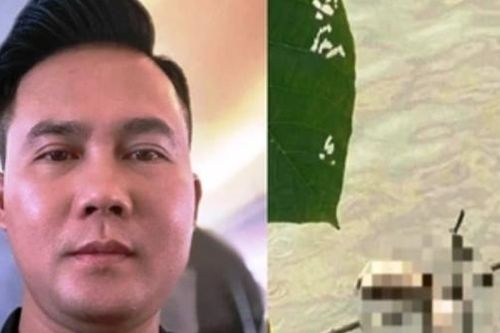 Vụ án Hồ Yến Nhi bị sát hại: Khởi tố bị can, bắt tạm giam hung thủ giết người