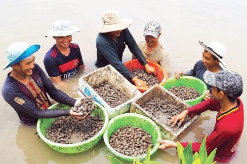 Sắc mới trên quê hương anh hùng