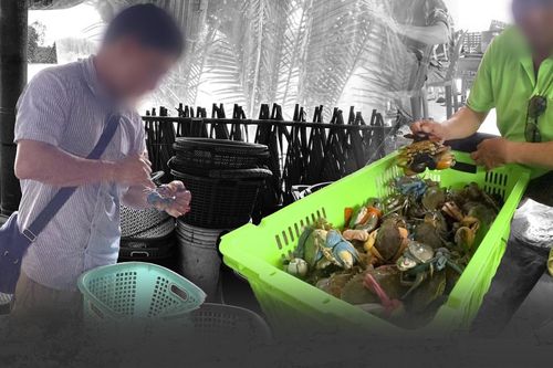 Vén màn mánh khóe xảo quyệt sau chuyện thương lái ép giá ở thủ phủ cua Cà Mau