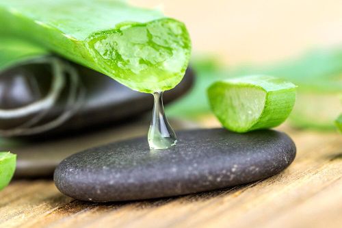 Dùng nha đam có giảm cháy nắng, làm dịu da?