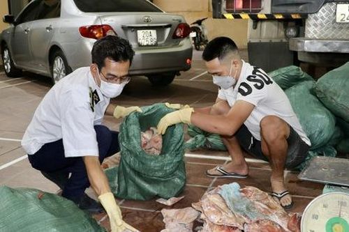 Phát hiện 2 tấn tai lợn bốc mùi đang chuyển đi tiêu thụ