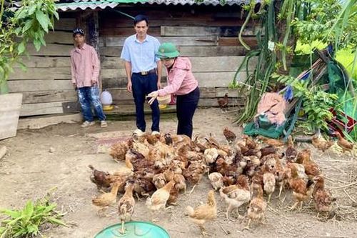 Thừa Thiên Huế: Tỷ lệ hộ nghèo giảm nhờ triển khai chương trình mục tiêu quốc gia 1719
