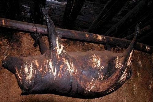 Có gì trong con lợn gác bếp 53 năm, được trả giá 2 tỷ ?