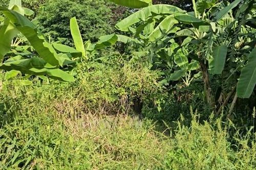 Bình Dương: Phát hiện bộ xương người trong bãi đất trống