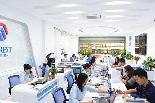 Chứng khoán Everest bị xử phạt trong vụ Tân Hoàng Minh làm ăn ra sao?