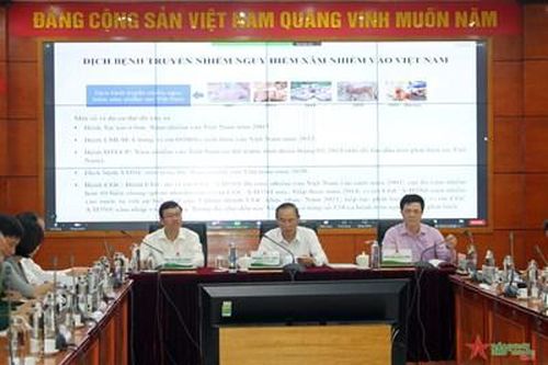 Ngăn chặn nhập lậu gia súc, gia cầm và giải pháp phát triển chăn nuôi bền vững