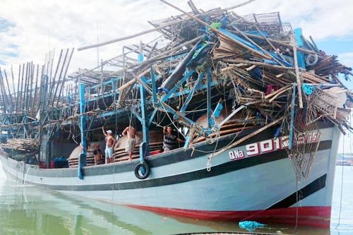 Chìm tàu câu mực, 14 ngư dân Quảng Nam mất tích
