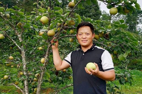 Bí thư đoàn xã mở lối làm giàu
