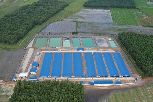 Thêm 10.000 con heo cung ứng thị trường TPHCM dịp tết