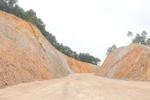 Dự án đường ở Quảng Trị 'vướng rừng' thuộc khu bảo tồn thiên nhiên