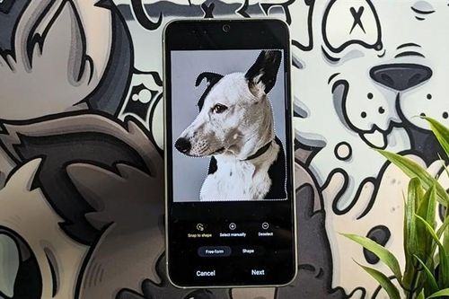 Hướng dẫn cách tạo sticker từ ảnh trên Samsung cực thú vị
