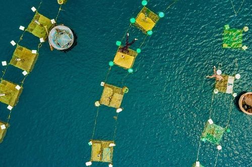 BES-Net: Cùng chia sẻ và hành động để bảo tồn đa dạng sinh học