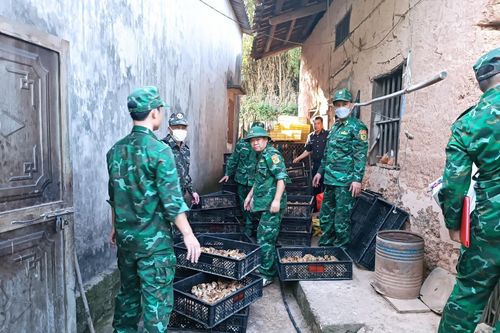 Quyết tâm ngăn chặn nạn buôn lậu gia cầm qua biên giới
