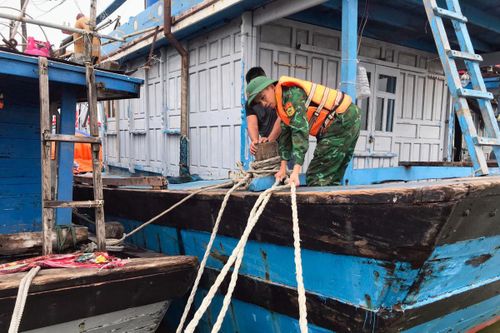 Thừa Thiên Huế: Kêu gọi 2.062 phương tiện và 11.350 lao động vào nơi tránh trú an toàn