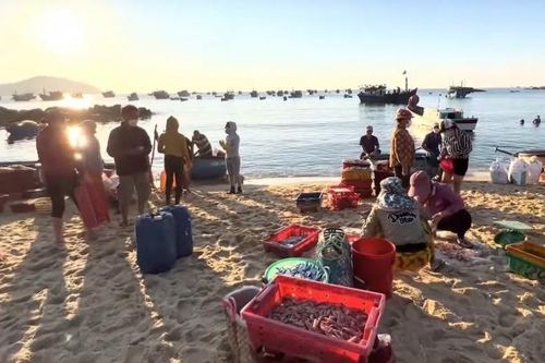Trải nghiệm điều thú vị ở chợ cá ở Phú Yên