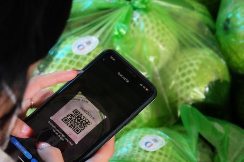 Đưa nông sản 'go global' bằng doanh nghiệp công nghệ Việt