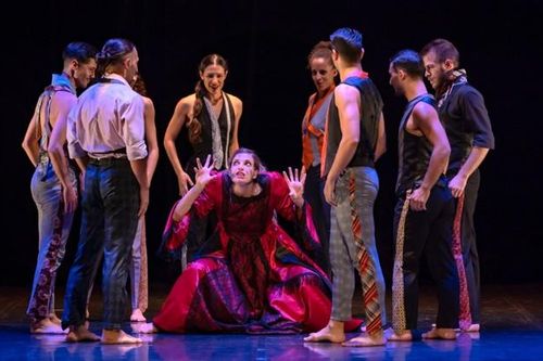 'Người thợ cạo thành Seville' bùng nổ tiếng cười ở Nhà hát Lớn