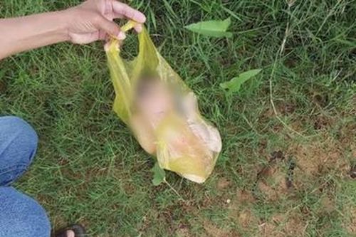Phê chuẩn khởi tố, bắt tạm giam nữ sinh viên sát hại con gái mới sinh