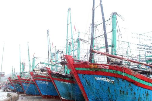 Nghệ An chủ động ứng phó với áp thấp nhiệt đới có khả năng mạnh lên thành bão