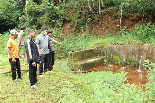 Gia Lai: Nhiều trang trại chăn nuôi vi phạm về bảo vệ môi trường