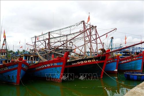 Ứng phó với áp thấp nhiệt đới: Quảng Nam cấm biển từ 16 giờ ngày 17/10