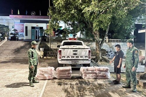 Quảng Ninh: Bắt giữ gần nửa tấn nầm lợn không rõ nguồn gốc