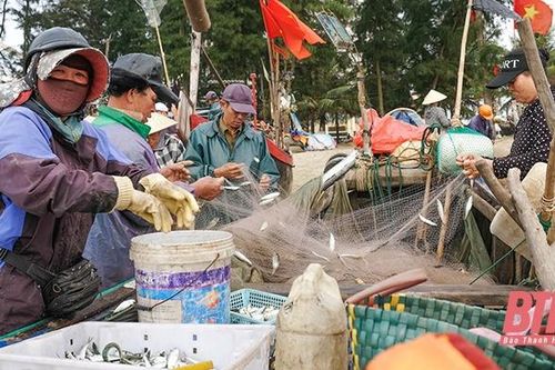 Đi chợ hải sản giữa lòng phố biển
