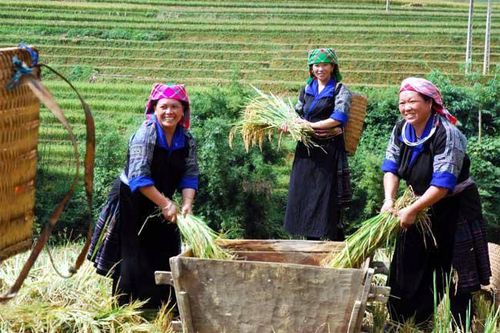 Hỗ trợ có điều kiện, phát huy nội lực của để người dân vươn lên thoát nghèo