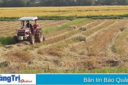 Xã Triệu Trạch tập trung phát triển kinh tế nông nghiệp