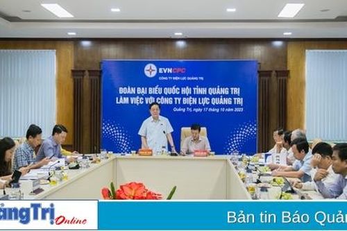 Đoàn ĐBQH tỉnh Quảng Trị làm việc với các đơn vị ngành điện