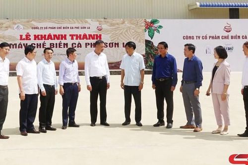 Đồng chí Bí thư Tỉnh ủy kiểm tra công tác tổ chức Lễ hội Cà phê tỉnh Sơn La lần thứ nhất năm 2023
