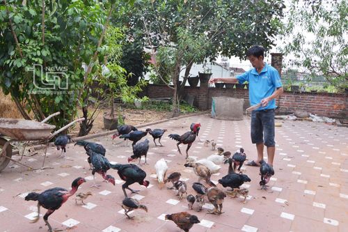 Lương Phú đi đầu trong công tác giảm nghèo