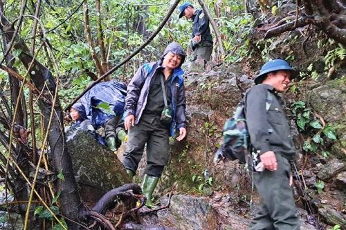 Không lưu lại trong rừng khi bão, lũ