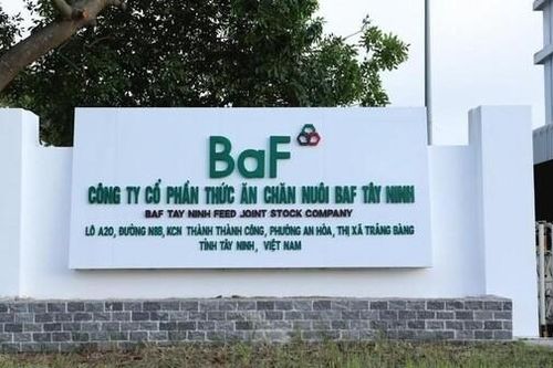 BAF Việt Nam dự kiến tháng 11 sẽ kiện toàn lại bộ máy HĐQT và ban kiểm soát