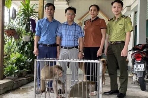 Hà Tĩnh: Người dân bàn giao nhiều cá thể động vật quý hiếm