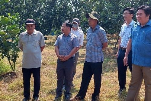 Rõ biện pháp giải quyết những vấn đề bức xúc, kéo dài