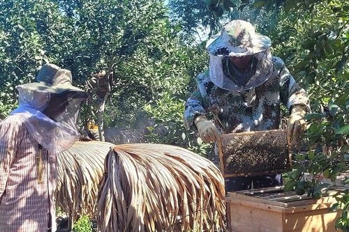 Mật ngọt trên dải biên giới Vũ Quang