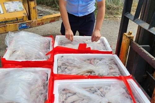 Phát hiện trên 4,5 tấn cá khoai dương tính với chất foocmon