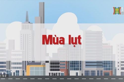 Mùa lụt | Chuyện quanh ta | tập 183 | 17/10/2023