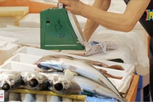 Nga đình chỉ hoạt động nhập khẩu hải sản từ Nhật Bản