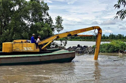 Phòng, chống triều cường từ sớm