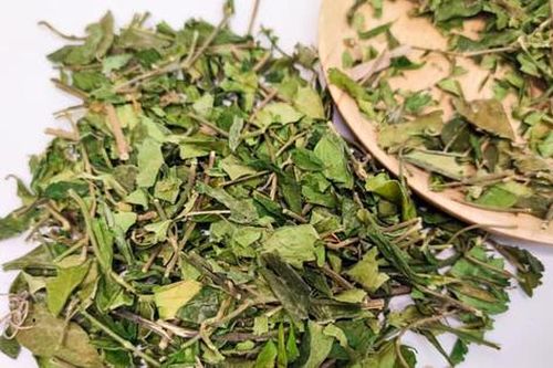 Dùng dây thìa canh cần lưu ý gì?