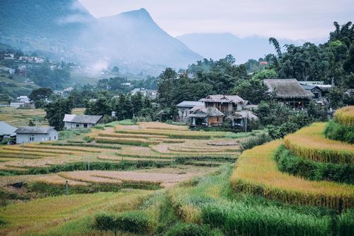Khám phá một Sa Pa bình dị tại bản Lao Chải - Tả Van trong sắc thu vàng