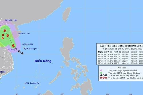 Bắc Bộ đón gió mùa Đông Bắc, bão số 5 mạnh cấp 8, giật cấp 10