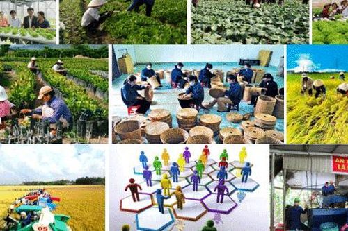 Đề xuất phân loại hợp tác xã theo 4 quy mô