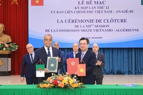 Tăng cường quan hệ hợp tác toàn diện, hữu nghị đặc biệt Việt Nam-Algeria