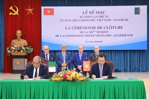 Tăng cường hợp tác toàn diện, hữu nghị đặc biệt Việt Nam-Algieria