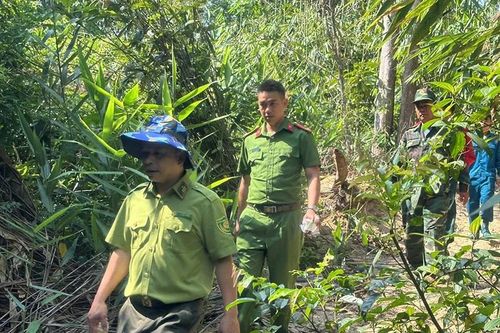 Nỗ lực bảo vệ và phát triển rừng nơi biên giới Ia H'Drai